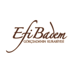 Efibadem Gökçeada